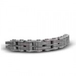 Rexnord Leaf Chain