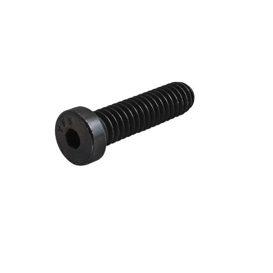 316 M06x30mm LOW HEAD SOCKET CAP SCREWS