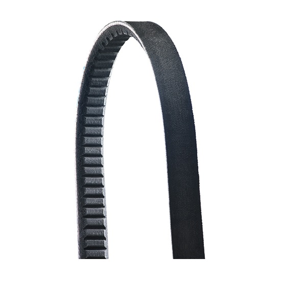 AX COG V BELT 25”